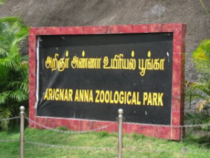 Vandalur Zoo