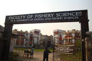 Fishery Sciences University's ranking list released