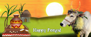 happy_pongal_2016